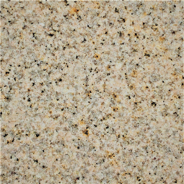 黃銹石荔枝面價(jià)格供應(yīng)